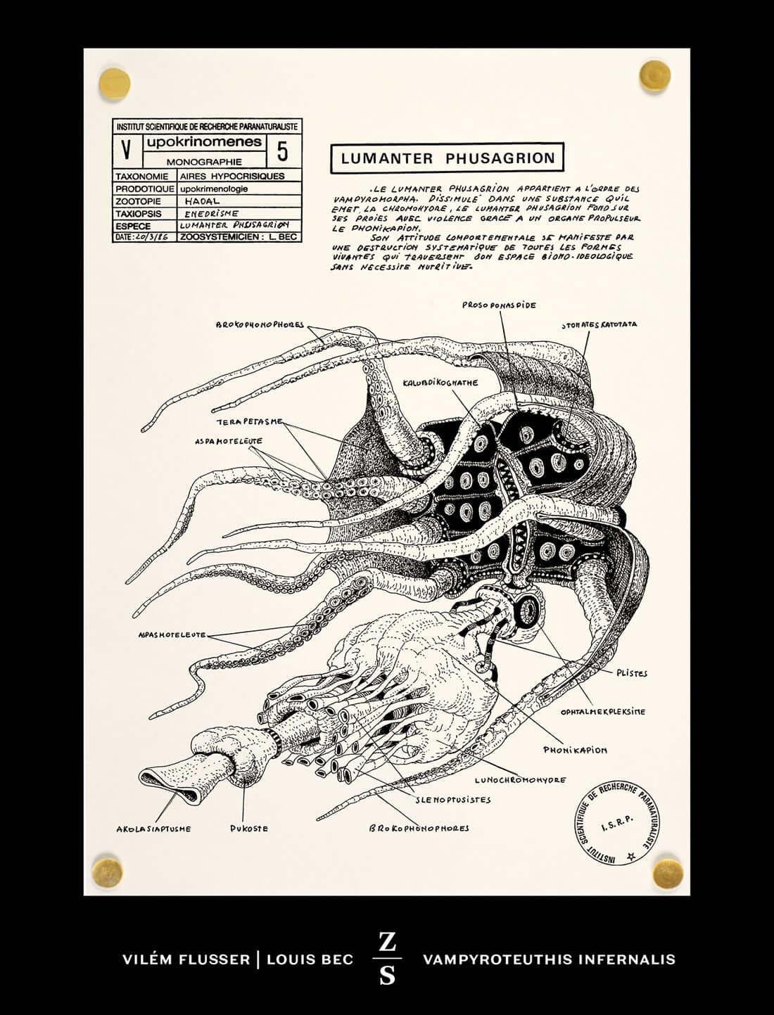 On Hypozoology