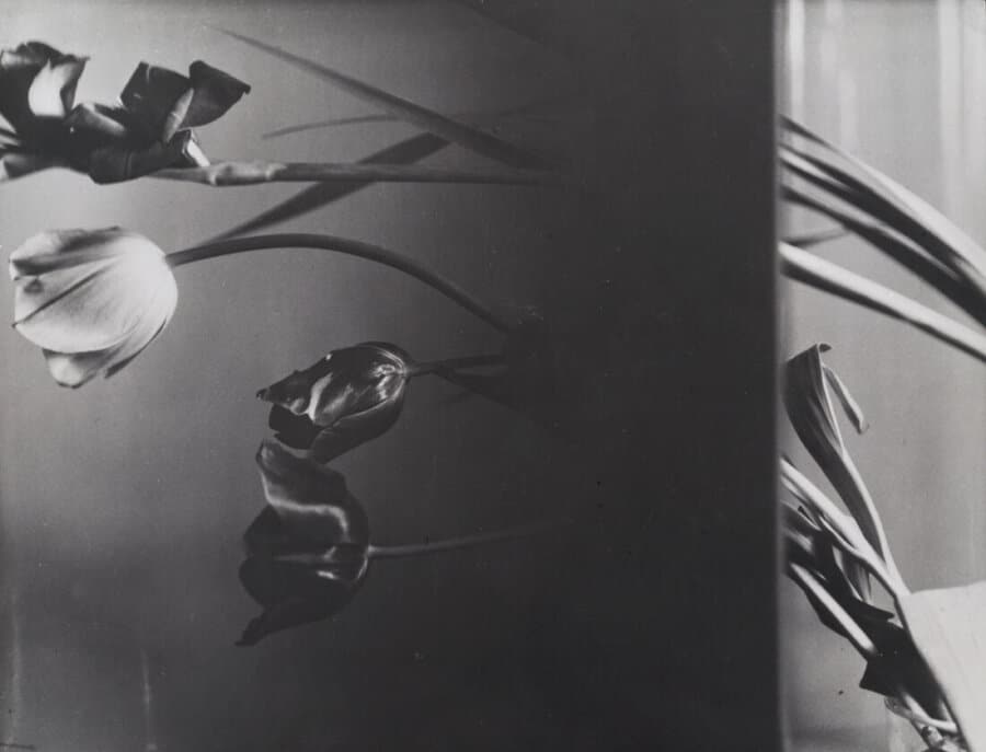 Composition Nature morte