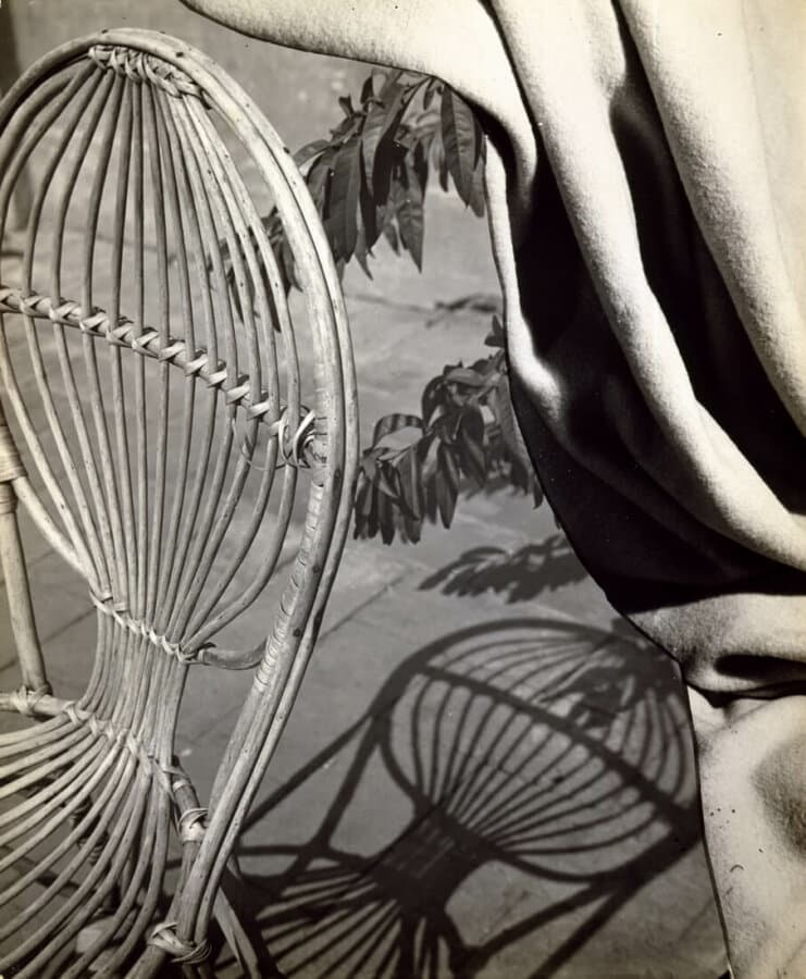 Composition Nature morte