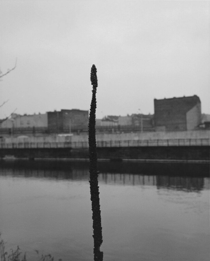 Sans titre Waffenruhe [Cessez-le-feu]