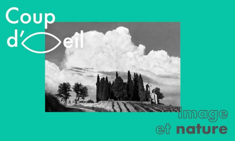 Coup d'oeil : image et nature