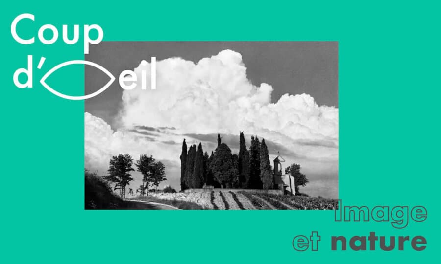 Coup d'oeil : image et nature
