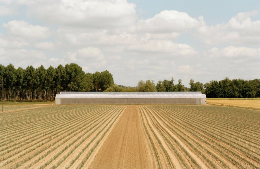 Saint-Georges-sur-Loire, Maine-et-Loire