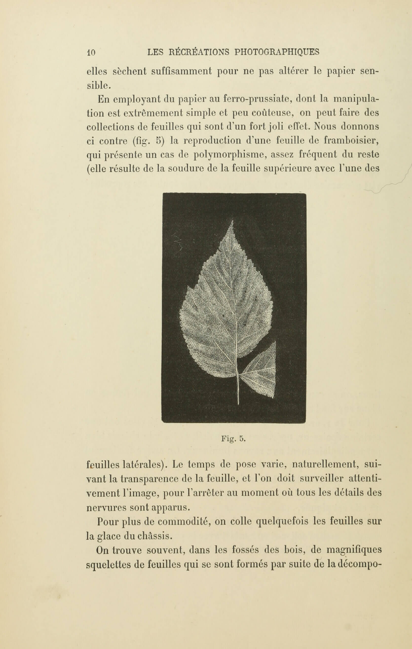 Albert Bergeret and Félix Drouin, « Reproductions directes ». <em>Les Récréations photographiques</em>, Paris, Charles Mendel, 1891, p. 10 (Boston Public Library)