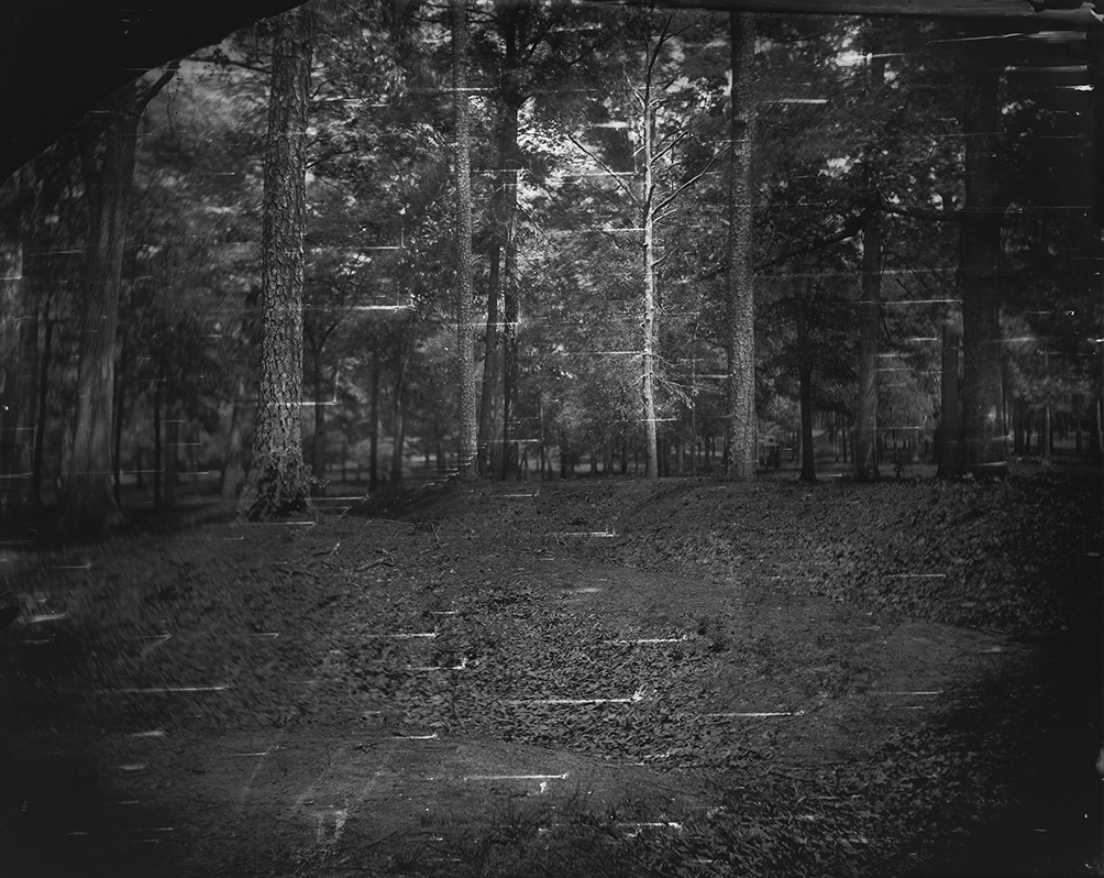 Sally Mann, <em>Battlefields, Cold Harbor (Battle)</em>, 2003, Gelatin silver print. National Gallery of Art, Washington, Gift of the Collectors Committee and The Sarah and William L Walton Fund. © Sally Mann Sally Mann