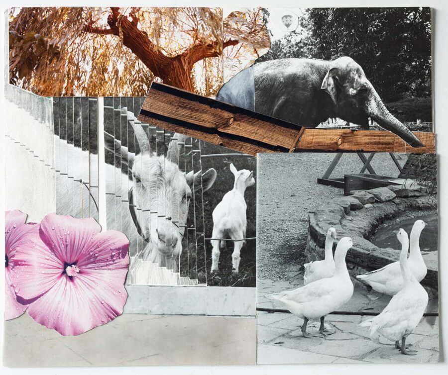 Collage, 1982 © Stephen Gill