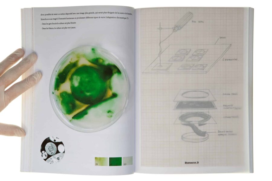 Notice 1 – Fig 2. Carnet de recherche pour le projet Cultures, extrait, 2011.  © Lia Giraud