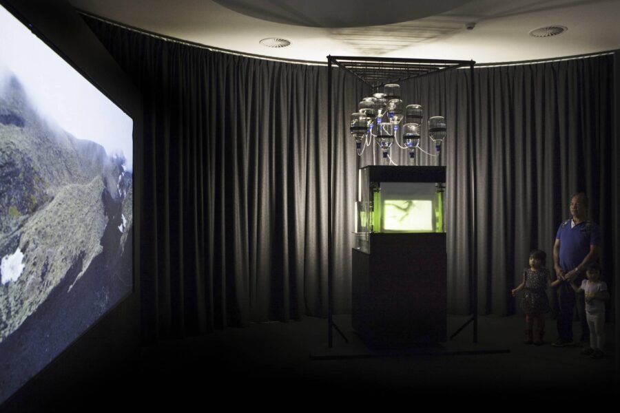 Notice #2 – Fig. 4. Vue de l’installation Immersion au festival Images de Vevey (CH), 2014, Immersion, 2014 – en collaboration avec Alexis de Raphélis et Benoit Verjat © Lia Giraud