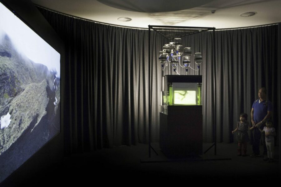 Note N°2 – Fig. 4. View of the Immersion installation at the Images de Vevey festival (CH), 2014 © Lia Giraud