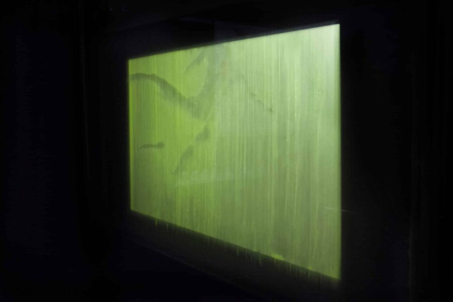 Notice #2 – Fig. 5. L’apparition de l’image algægraphique d’Immersion au Prix Cube, 2014 © Lia Giraud