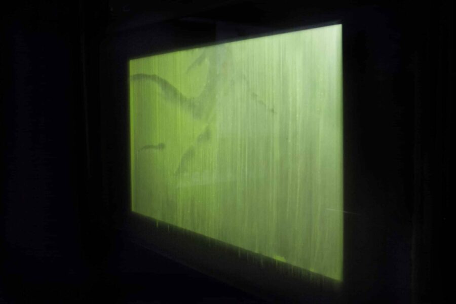 Note N°2 – Fig. 5. The appearance of the algaegraphic image of Immersion at the Prix Cube 2014 © Lia Giraud