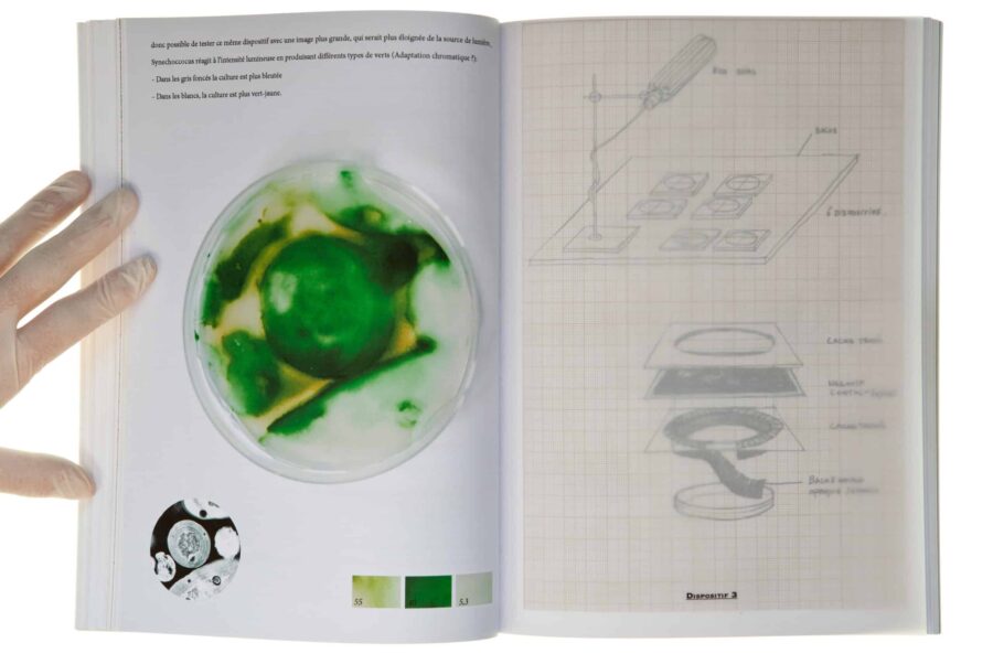 Note 2 Fig 2. – Research logbook  from the project Cultures, excerpt, 2011 © Lia Giraud