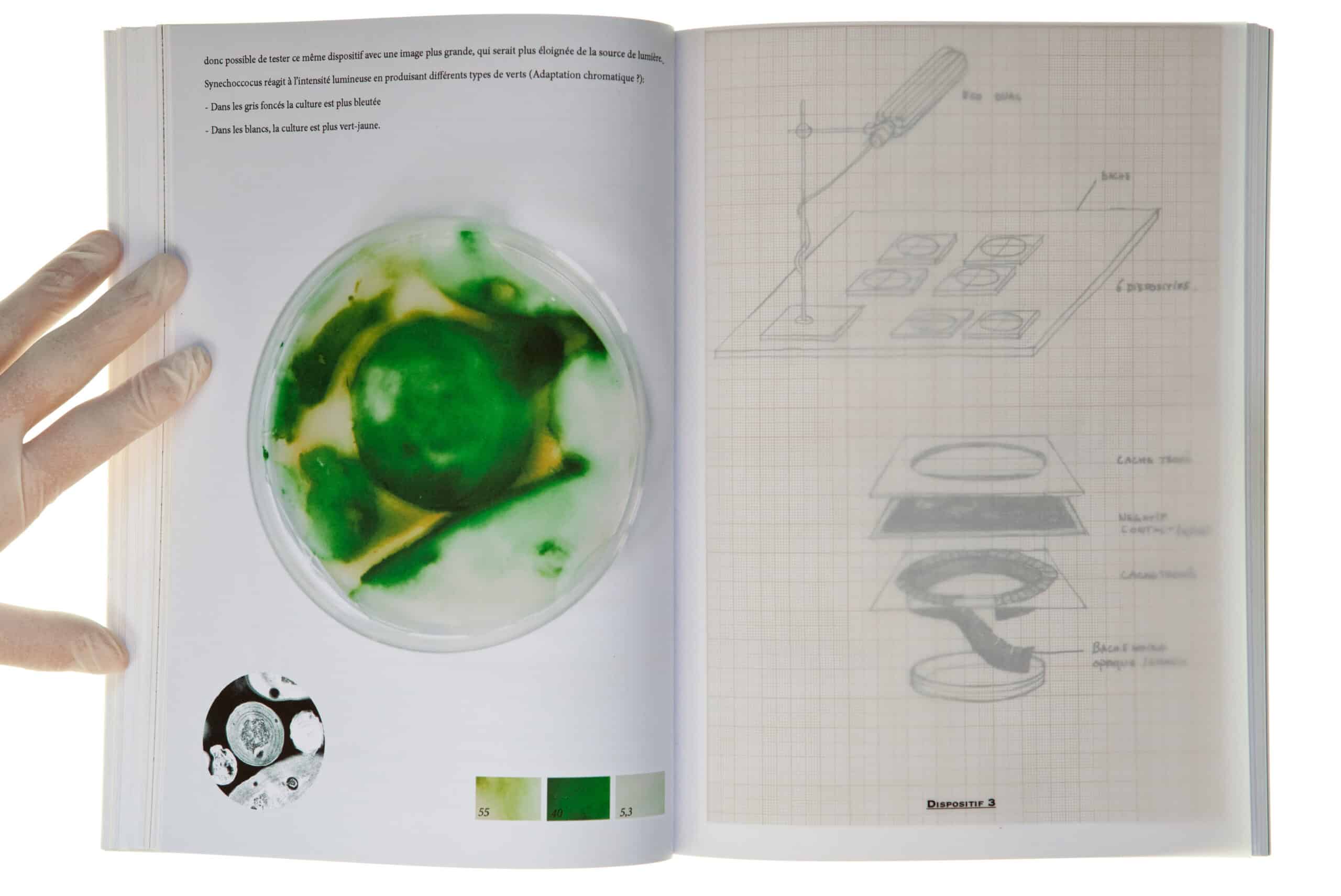 <br>Note 2 Fig 2. – Research logbook  from the project <i>Cultures</i>, excerpt, 2011 © Lia Giraud