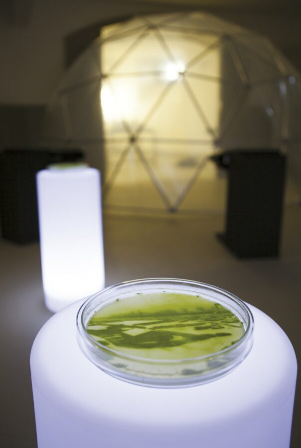 Notice 1 – Fig. 3. L’installation Cultures #2 exposées au festival Images de Vevey (Suisse) en 2014.