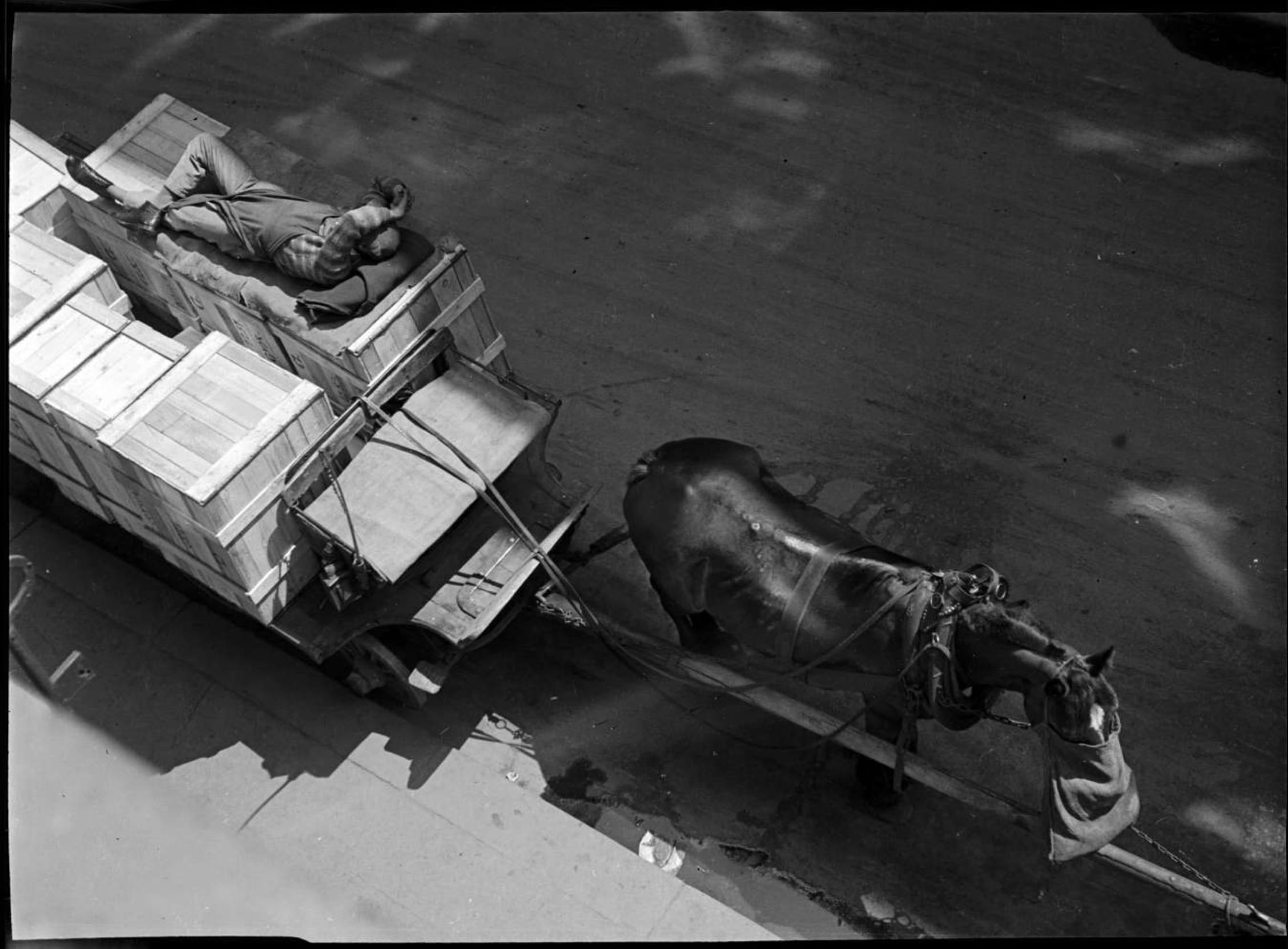 2a. Imre Kinszki, <i>Pihenő szállítómunkás fekszik egy lovas kocsi szállítmányán</i> (“A deliveryman rests, lying on the load of his cart”), 1934  © FSZEK
