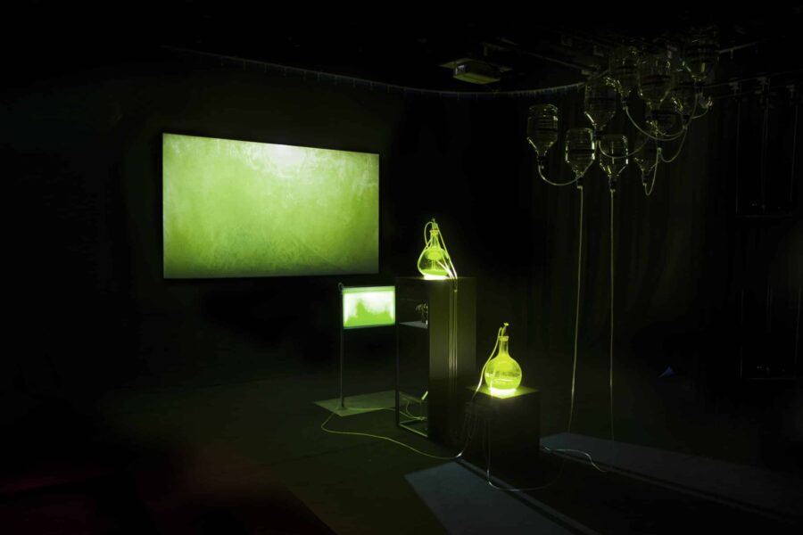 Notice #4 –Fig. 10. Dialogical Dreaming, 2017. Vue de l’installation, Soutenance de thèse SACRe/PSL à l’EnsAD, décembre 2017Installation Lia Giraud