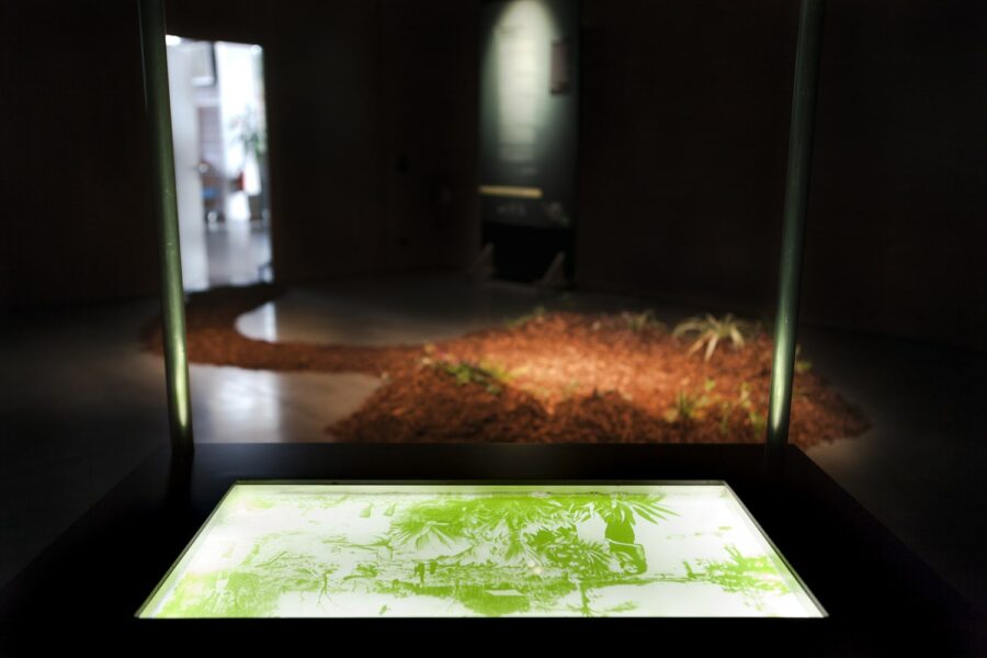 Notice #5 – Fig. 12. Ecoumène V.2 : Vohibola, 2019. Vue de l’installation au Cube, Manach (Lux.) © Lia Giraud
