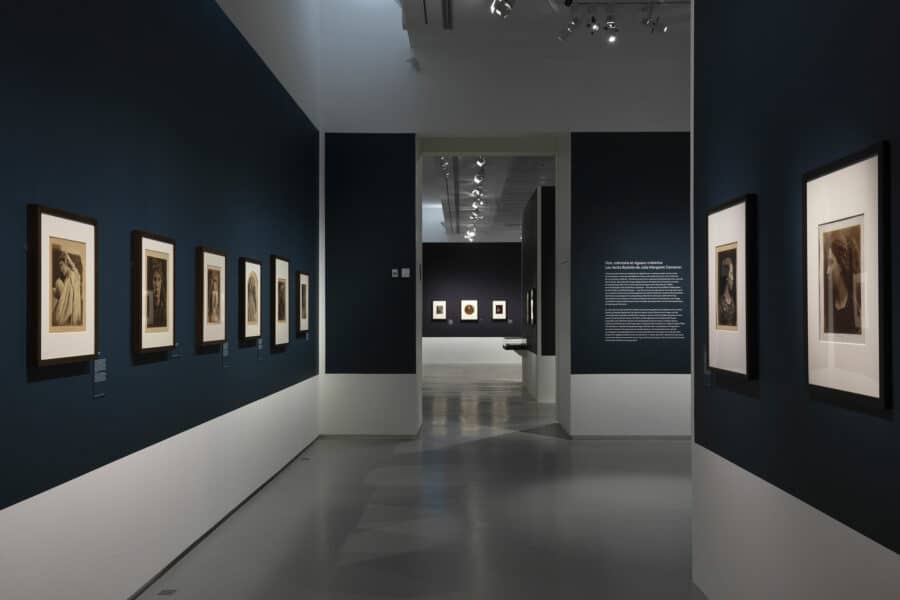 Vue de l'exposition Julia Margaret Cameron. Capturer la beauté