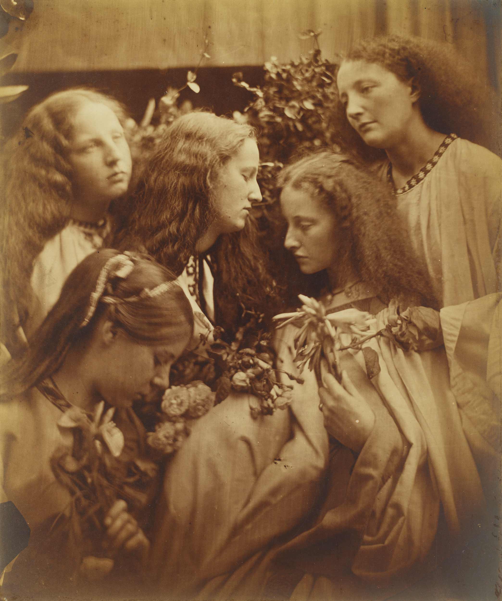 The Rosebud Garden of Girls [La roseraie des jeunes filles],