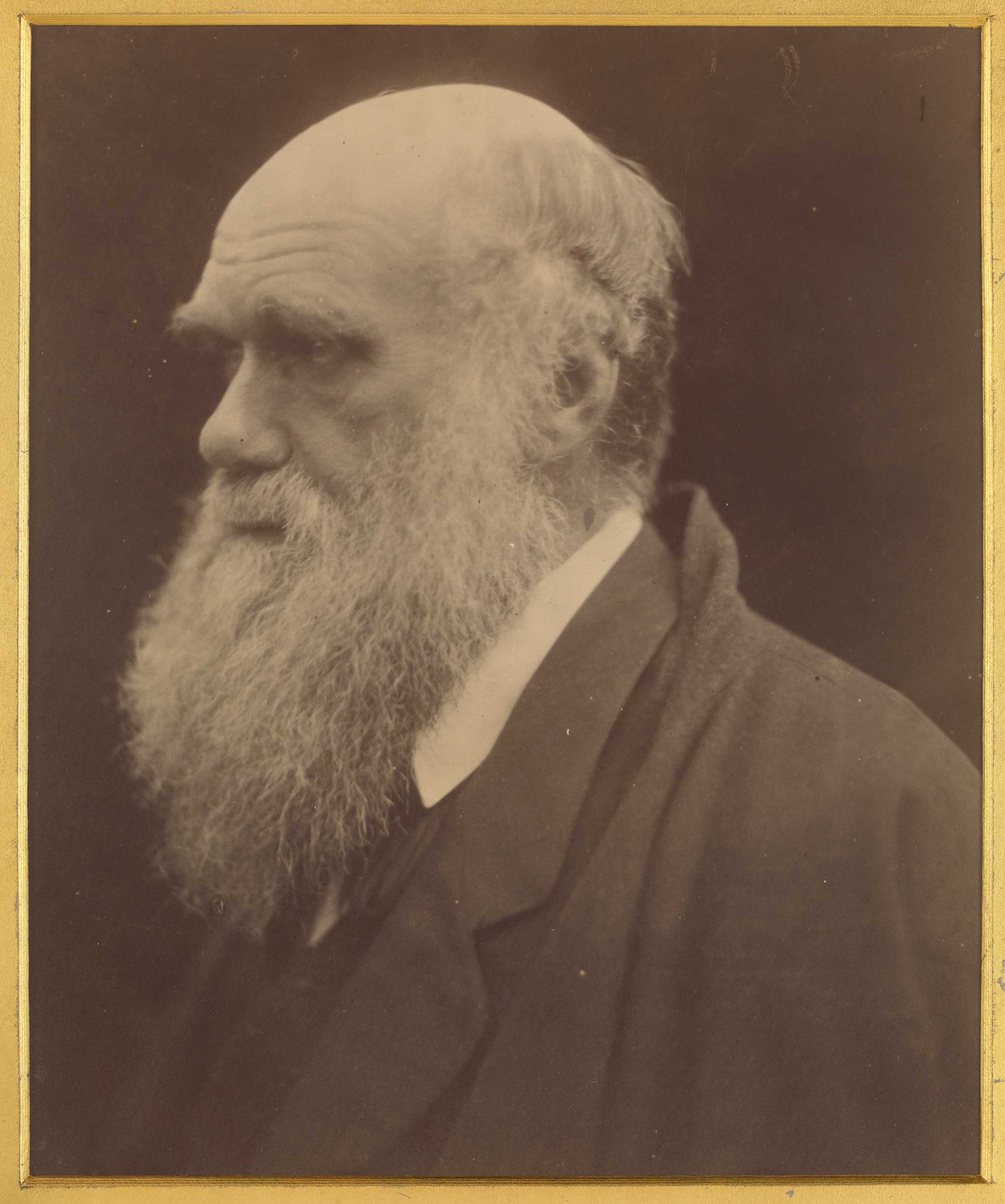 Charles Darwin,