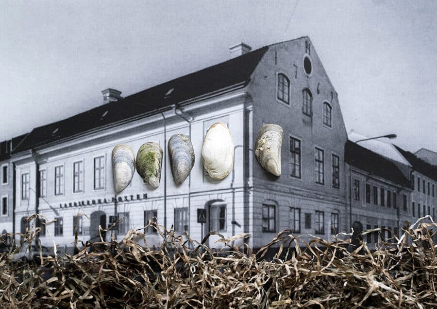 Marta Bogdańska, Haijska Huset, from the project Love That Dare Not Speak its Name, 2020 - 2022