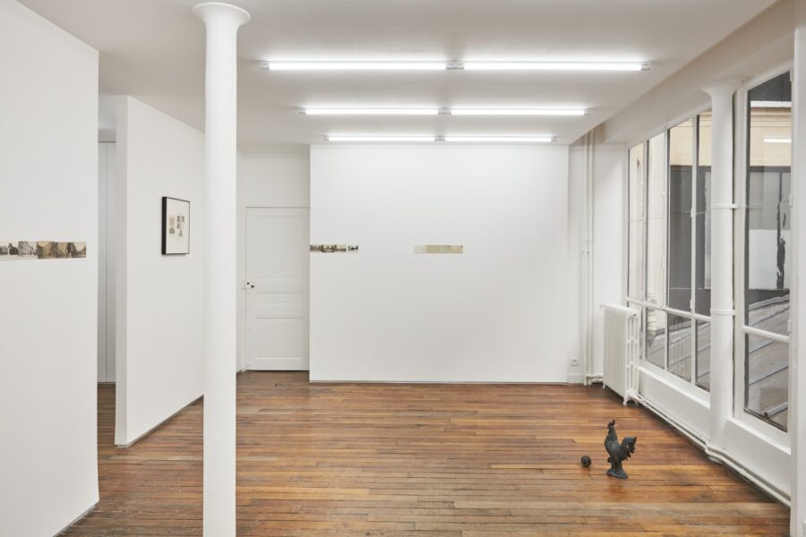 © Studio Shapiro