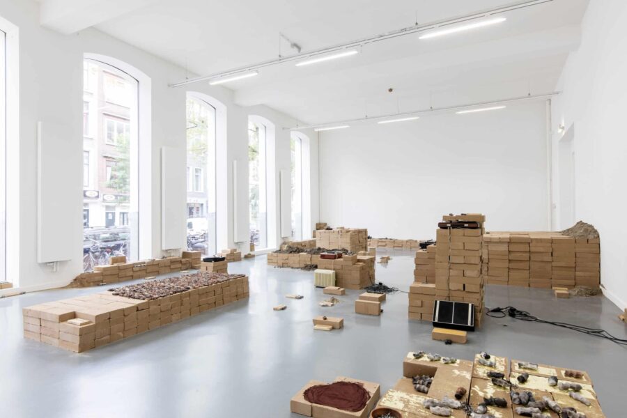 Dineo Seshee Bopape, Lerole: footnotes (The struggle of memory against forgetting), 2017.