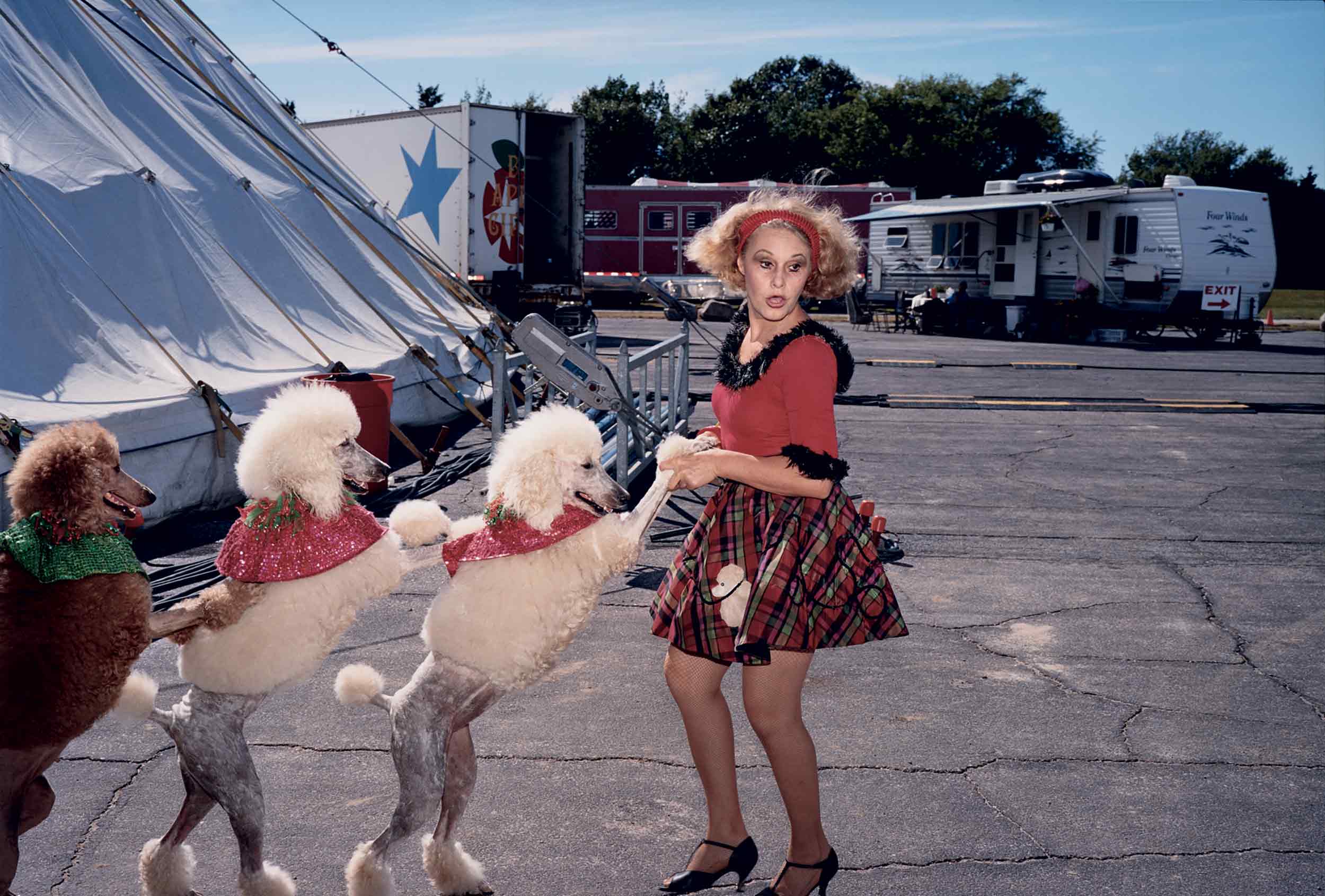 Lady with Poodles,