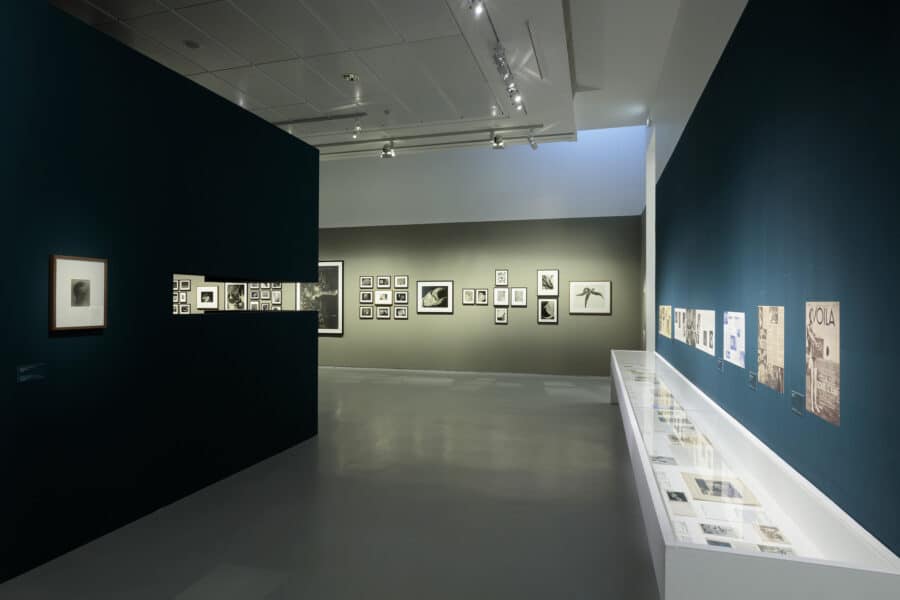 Vue de l'exposition Jean Painlevé. Les pieds dans l'eau
