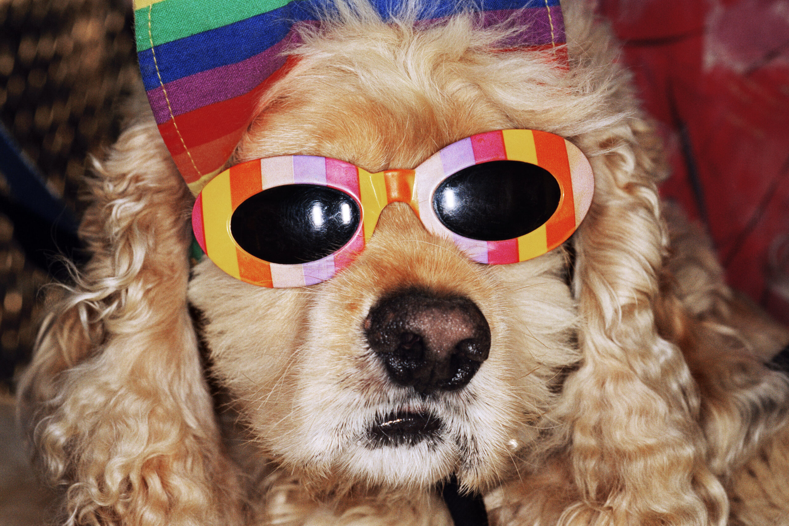 USA. California. Venice Beach. From 'Common Sense'. 1998.