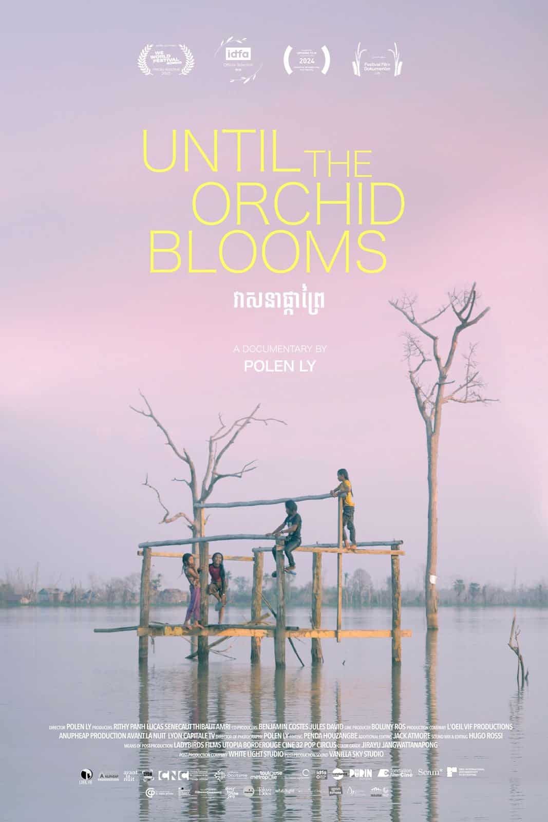 Until The Orchid Blooms