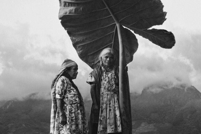 Gods of Mexico